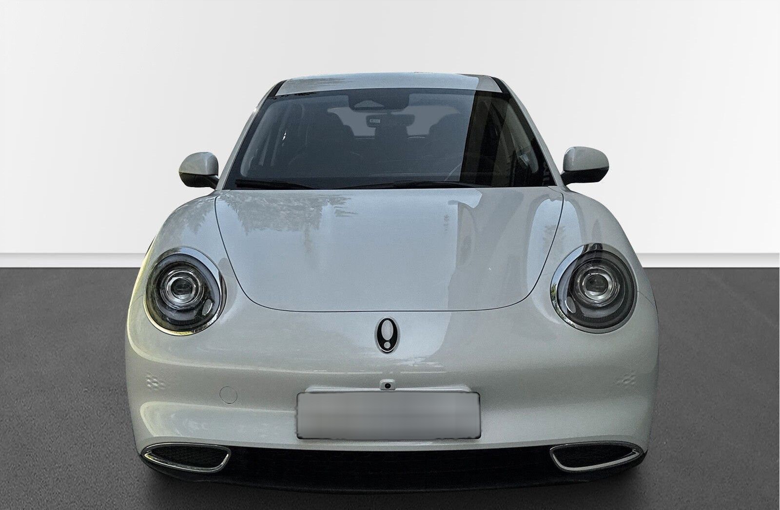 GWM Ora 03 300 mit LED, 360 Grad, Stdhzg, ACC