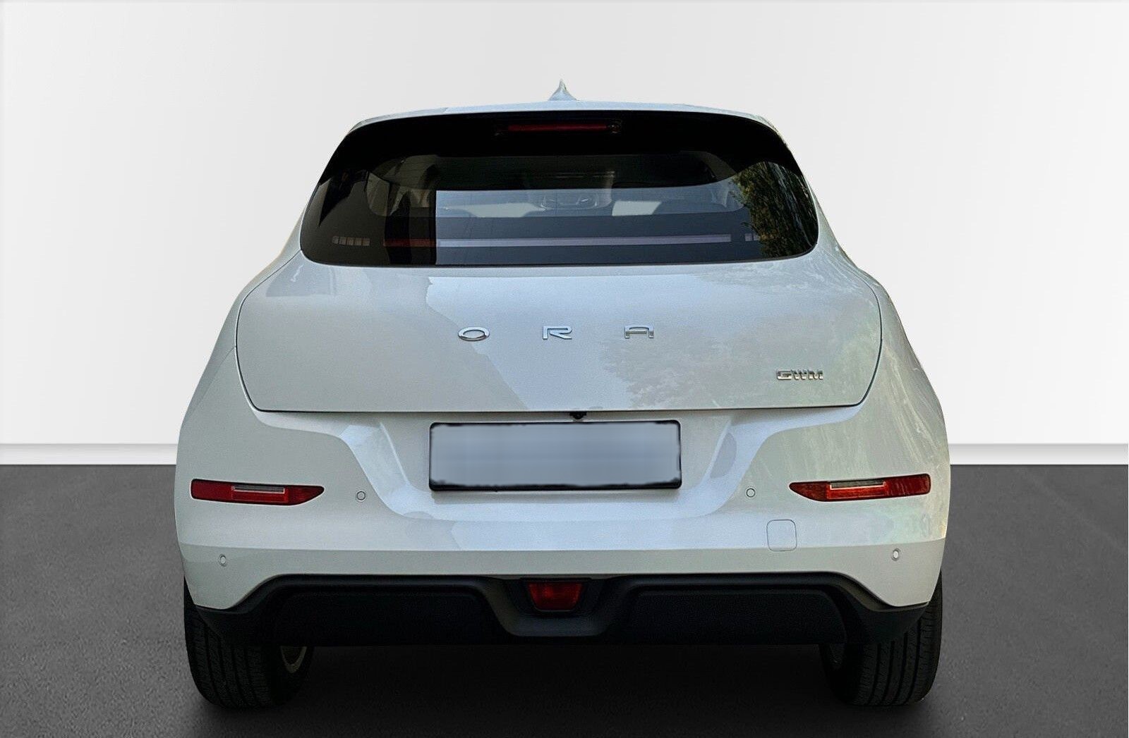GWM Ora 03 300 mit LED, 360 Grad, Stdhzg, ACC