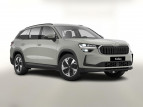 Bild Skoda Kodiaq 4x4 Selec AHK Matrix Nav ACC Memory Kessy