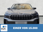 Bild Skoda Kodiaq 2.0 TDI DSG Selection 7-Si. ACC Matrix