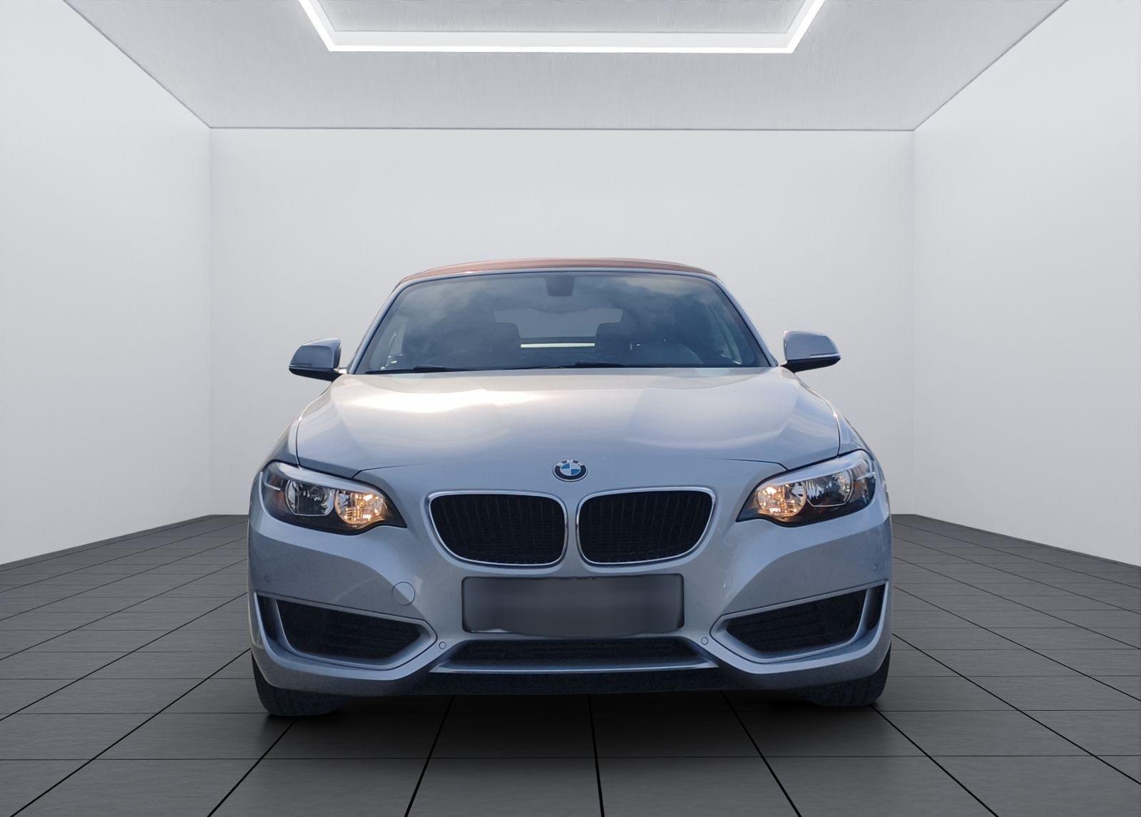 BMW 218 i Cabrio Aut./Leder/SHZ/Navi/PDC v.+h