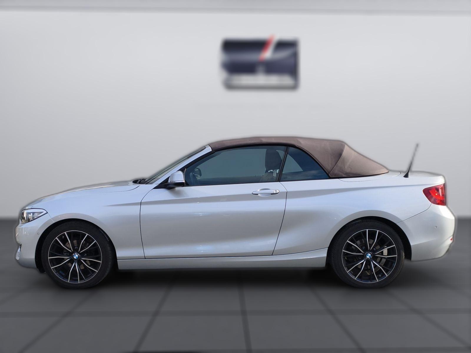 BMW 218 i Cabrio Aut./Leder/SHZ/Navi/PDC v.+h