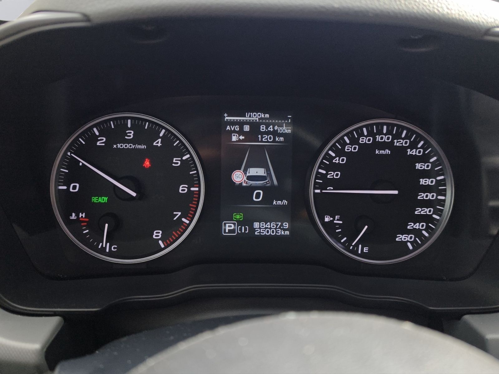 Subaru Crosstrek Crosstrek Aut. 4WD Platinum/Leder/GSD/ACC/LED