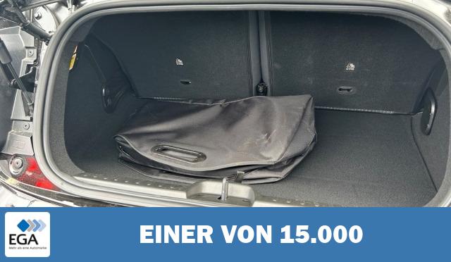 Fiat 500e Icon Navi Apple CarPlay Android Auto Klimaautom Fahrerprofil DAB Ambientebe