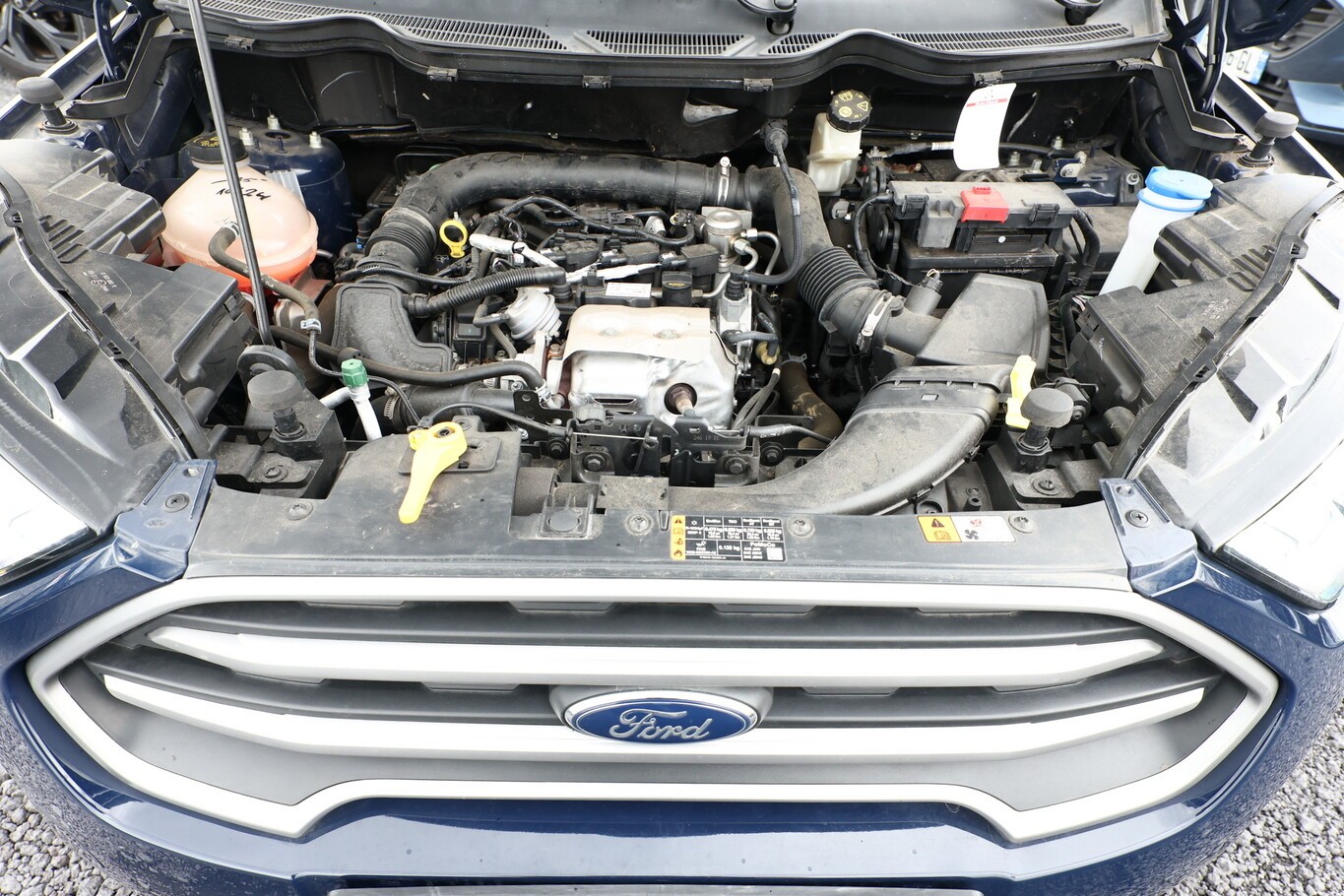 Ford EcoSport 1.0 EcoBoost 100 Cool&Connect Nav SHZ a