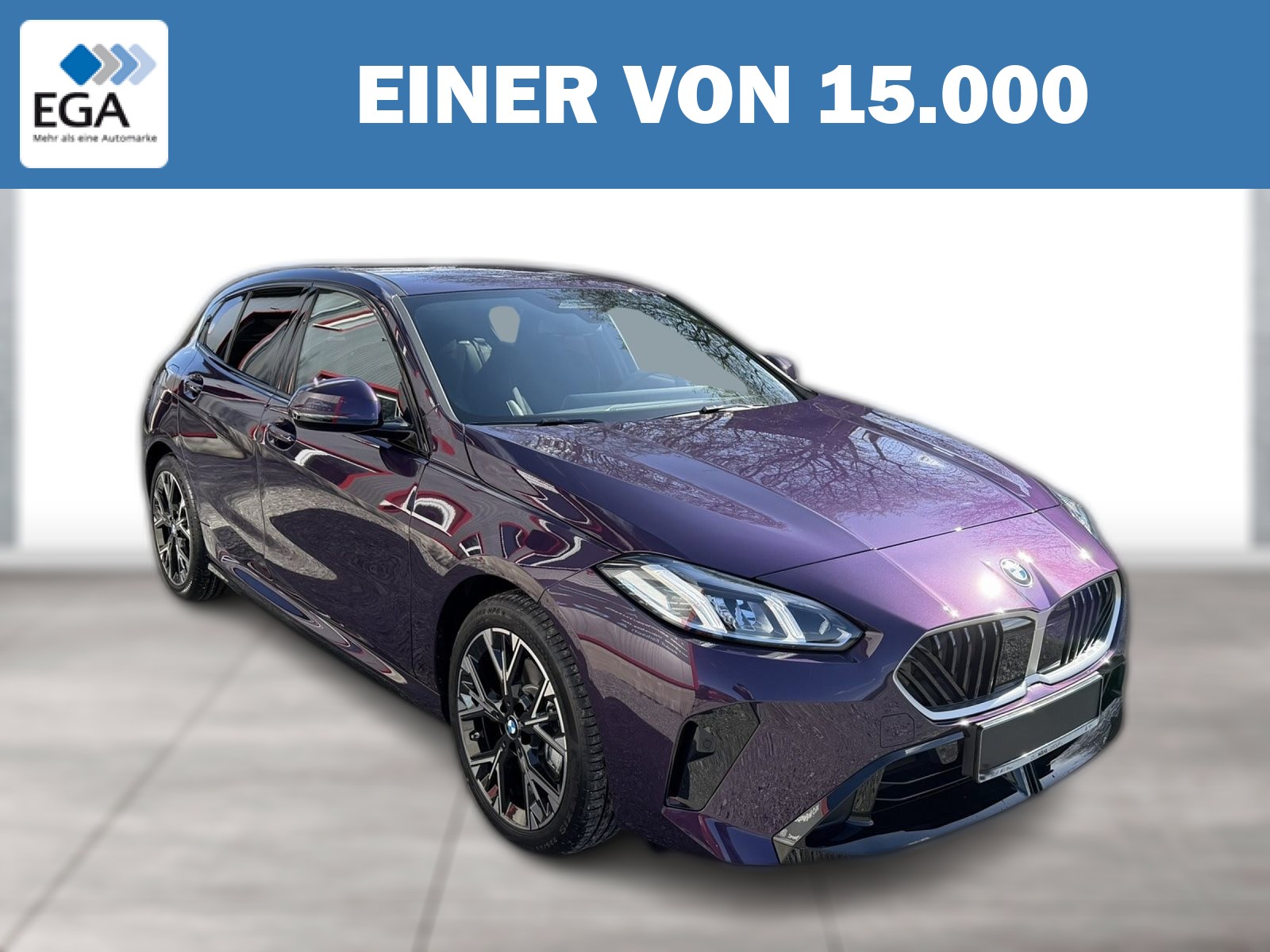 BMW 120 M Sport AHK 18 LED DrivingAss Navi PDC SHZ