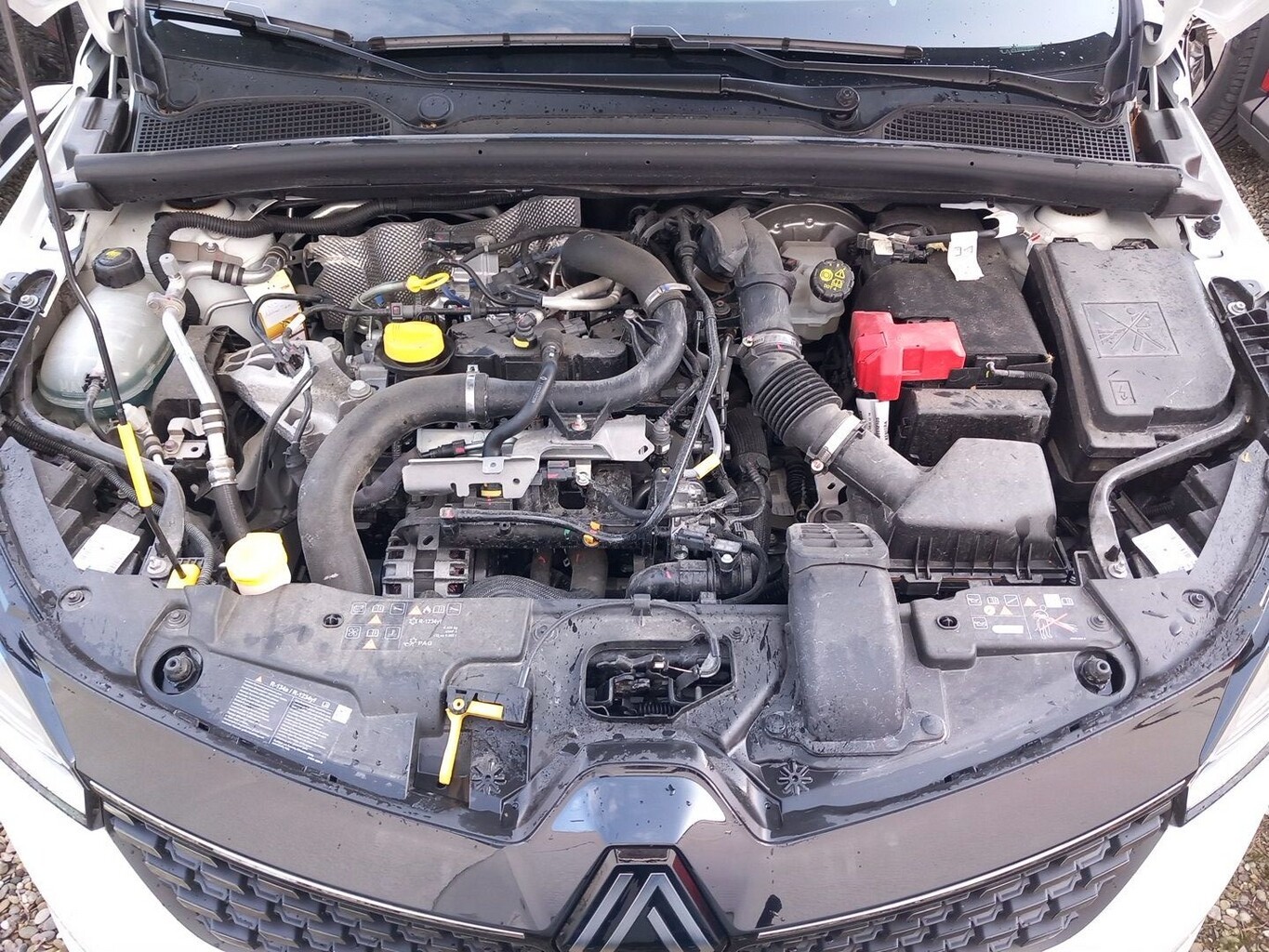 Renault Clio V 1.0 TCe 90 CVT Evolution LookP+ PDC Temp