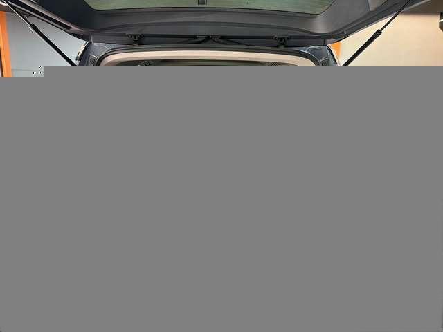 Volkswagen T7 Multivan Edition 2.0 TDI|AHK|KAM|MATRIX|