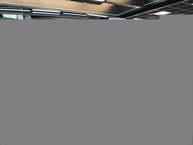 Volkswagen T7 Multivan Edition 2.0 TDI|AHK|KAM|MATRIX|