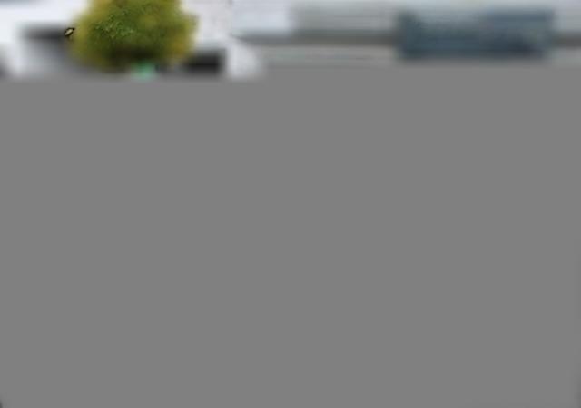 Ford S-Max ST-Line 2.0 EcoBlue *AT-Motor* AHK Navi Leder Memo