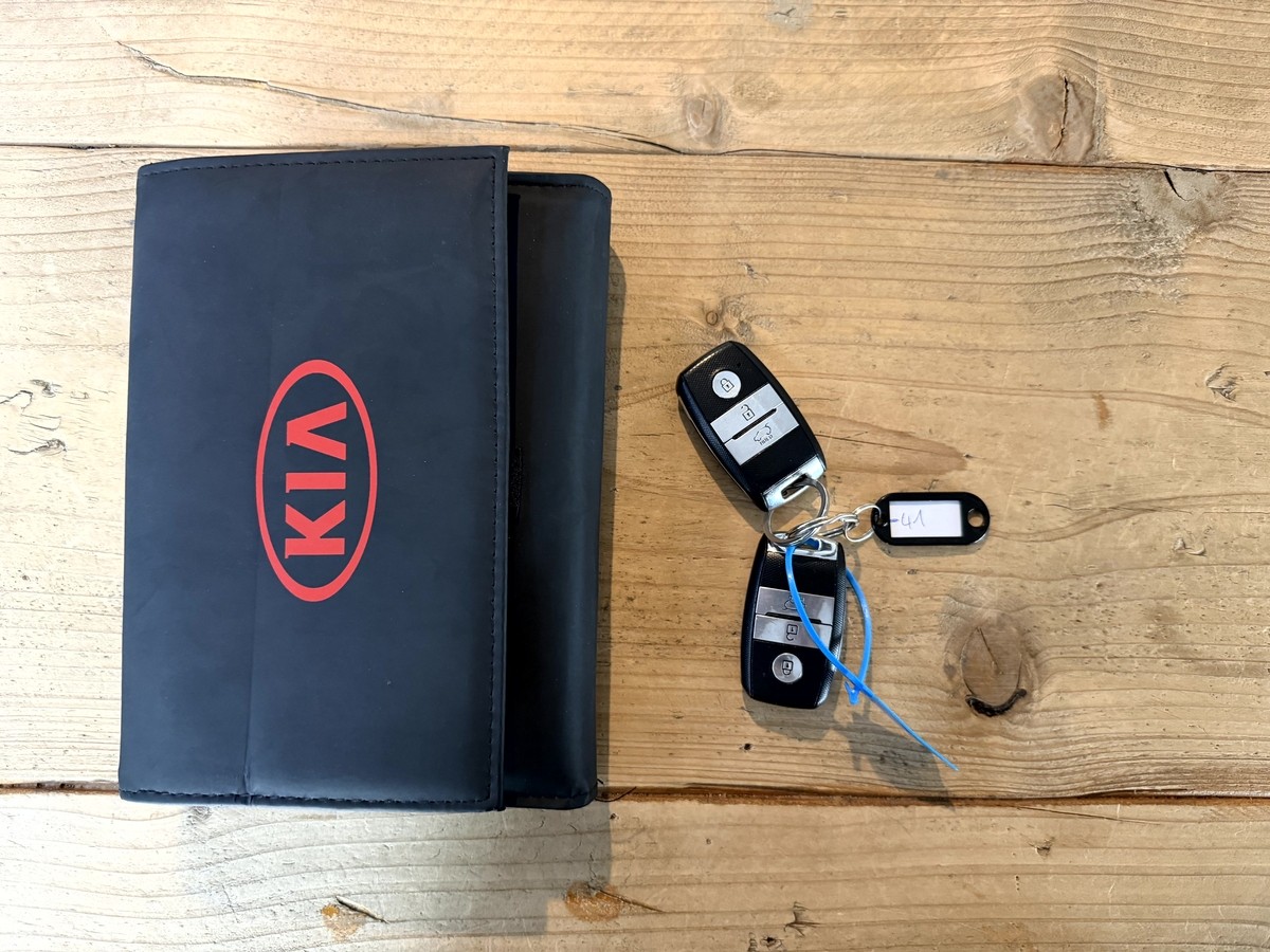 Kia Soul EV Play Navi Temp R.Cam SHZ