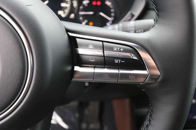 Mazda MX-30 145 PS ++Komfort+Premium+Industrial Vintage++