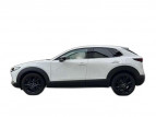 Bild Mazda CX-30 NAGISA 140 PS +BOSE+HEAD-UP+LED+