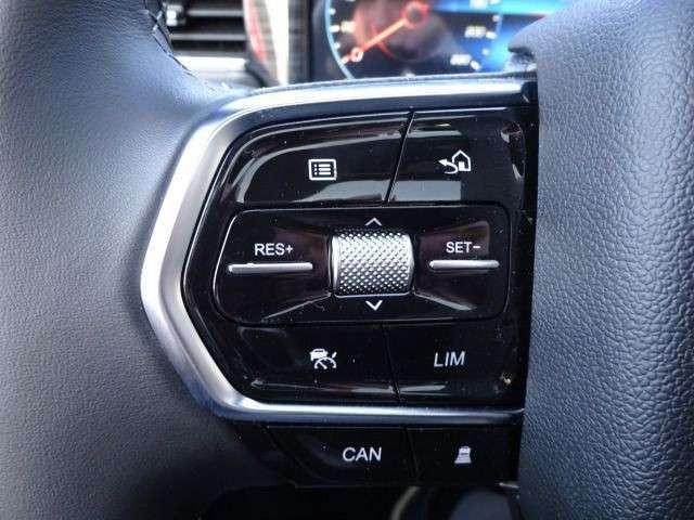 Foton 4 4 Ultra 2.0 Diffsperre CarPlay 360° Leder