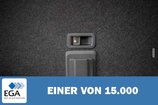 Cupra Leon 2,0 TSI DSG 4x4 VZ