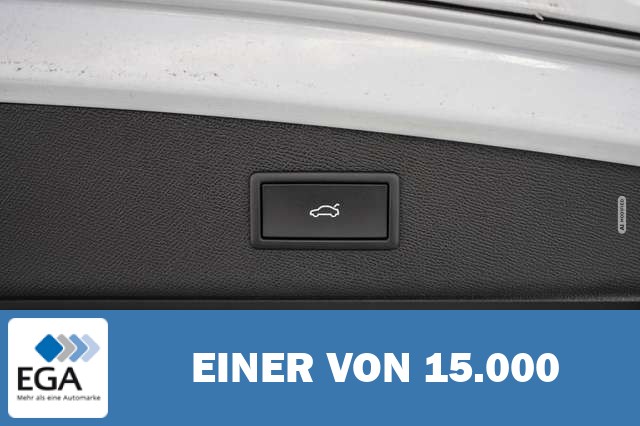 Cupra Leon 2,0 TSI DSG 4x4 VZ