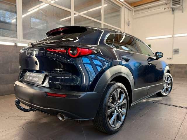 Mazda CX-30 Selection LED AHK HUD NAVI LHZ DAB