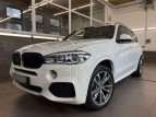 Bild BMW X5 xDrive 30 d HUD PANO