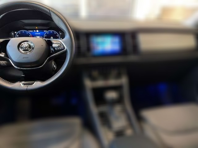 Skoda Kodiaq LEDER NAVI LHZ SHZ LED KAMERA ACC SPURASS