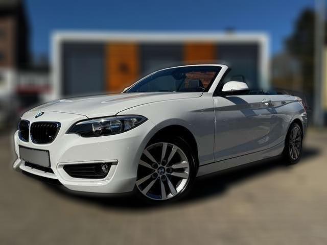 BMW 218 i Cabrio *NAVI*SHZ*LEDER*PDC*ALPIN*GEPFLEGT*