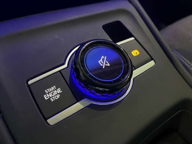 Volkswagen Tiguan 1.5 eTSI Prime Navi IQ-Light Kamera ACC Winterpake