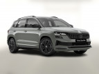 Bild Skoda Karoq DSG 4x4 Sportl Pano Matrix Nav 360° Canton