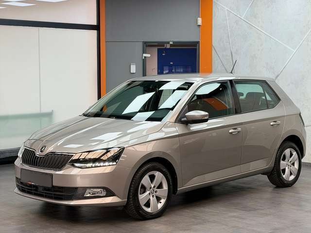 Skoda Fabia Style 1.0 TSI Metallic|KLIMA|SHZG|TEMP|PDC|