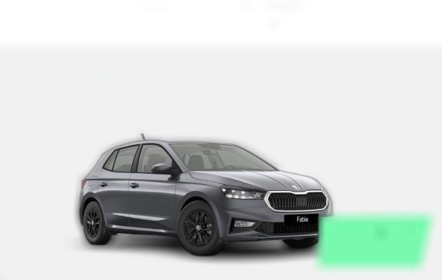 MF Selection 1.0TSI Licht&Sicht Winter+ SideAssist Parken