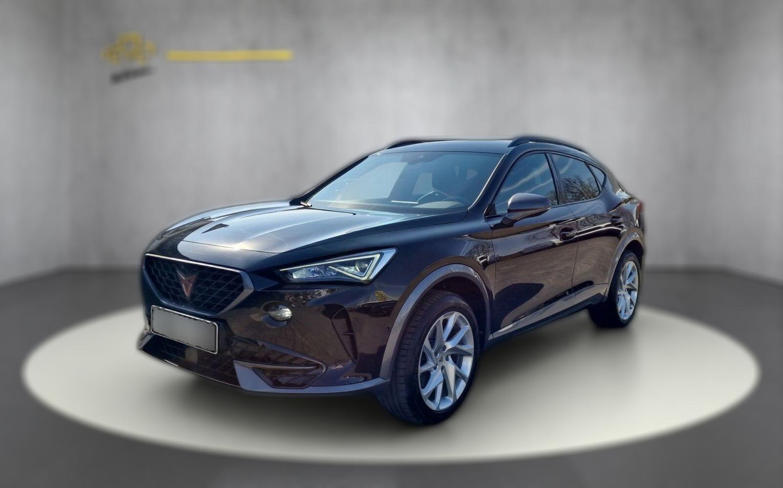 Cupra Formentor 2.0 TDI 4Drive