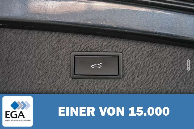 Cupra Leon 2,0 TSI DSG 4x4 VZ