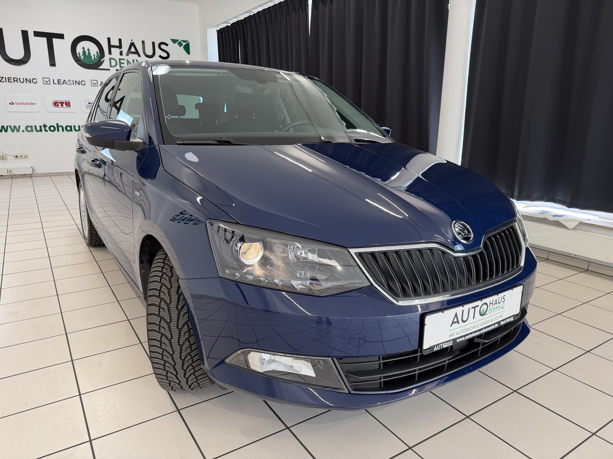 Skoda Fabia Combi 1.2 TSI ALLWETTER*SHZ*TEMPOMAT*