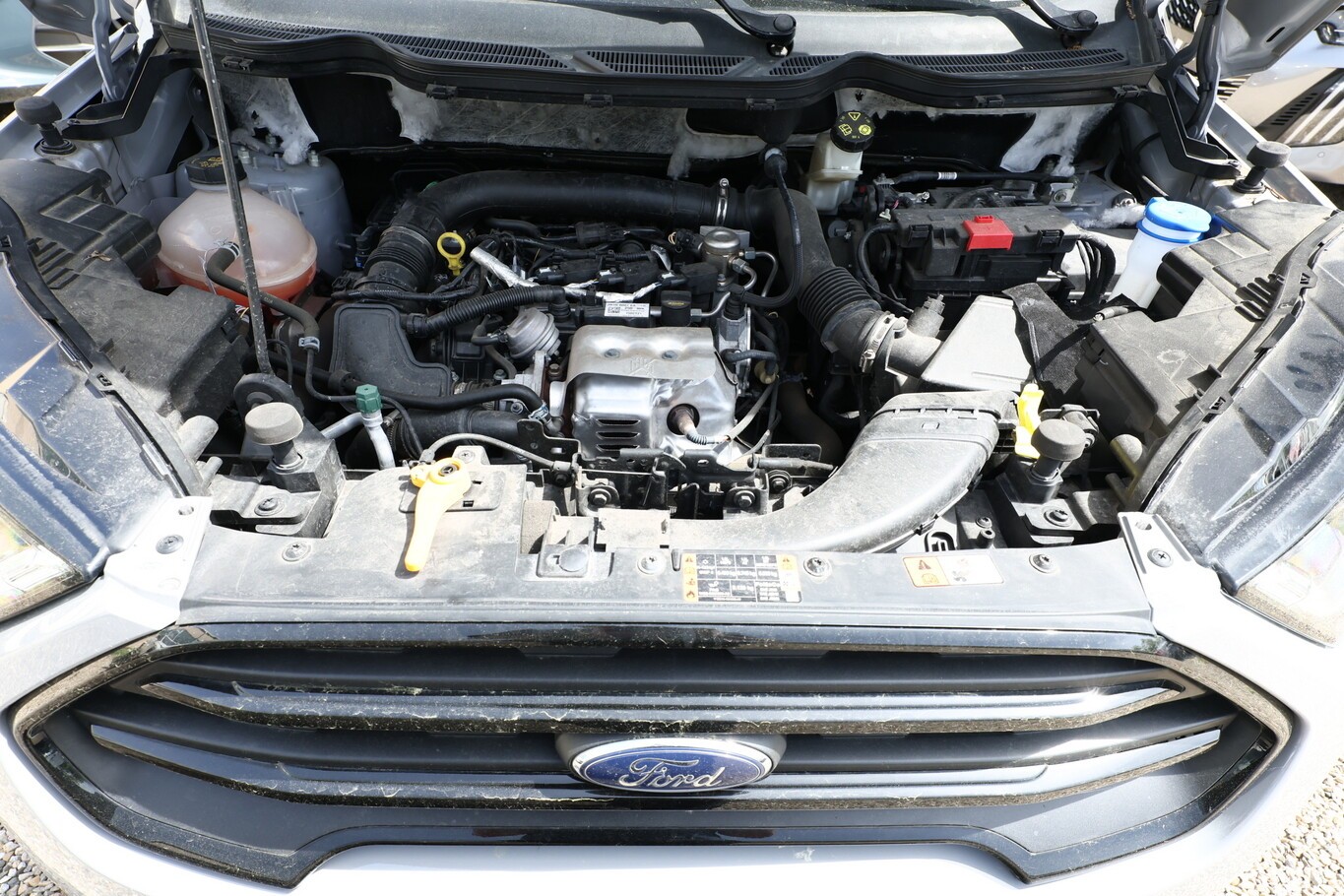 Ford EcoSport 1.0 EcoBoost 125 ST-Line LED Kam SHZ s