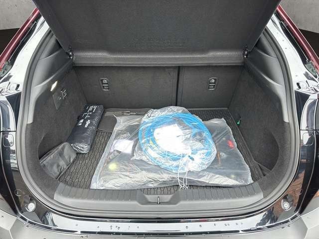 Mazda MX-30 EDITION R ++GSD+Matrix-LED+BOSE++