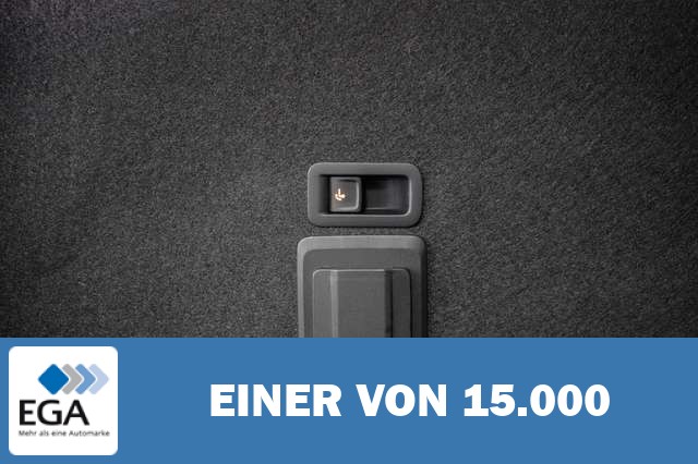 Cupra Leon 2,0 TSI DSG 4x4 VZ