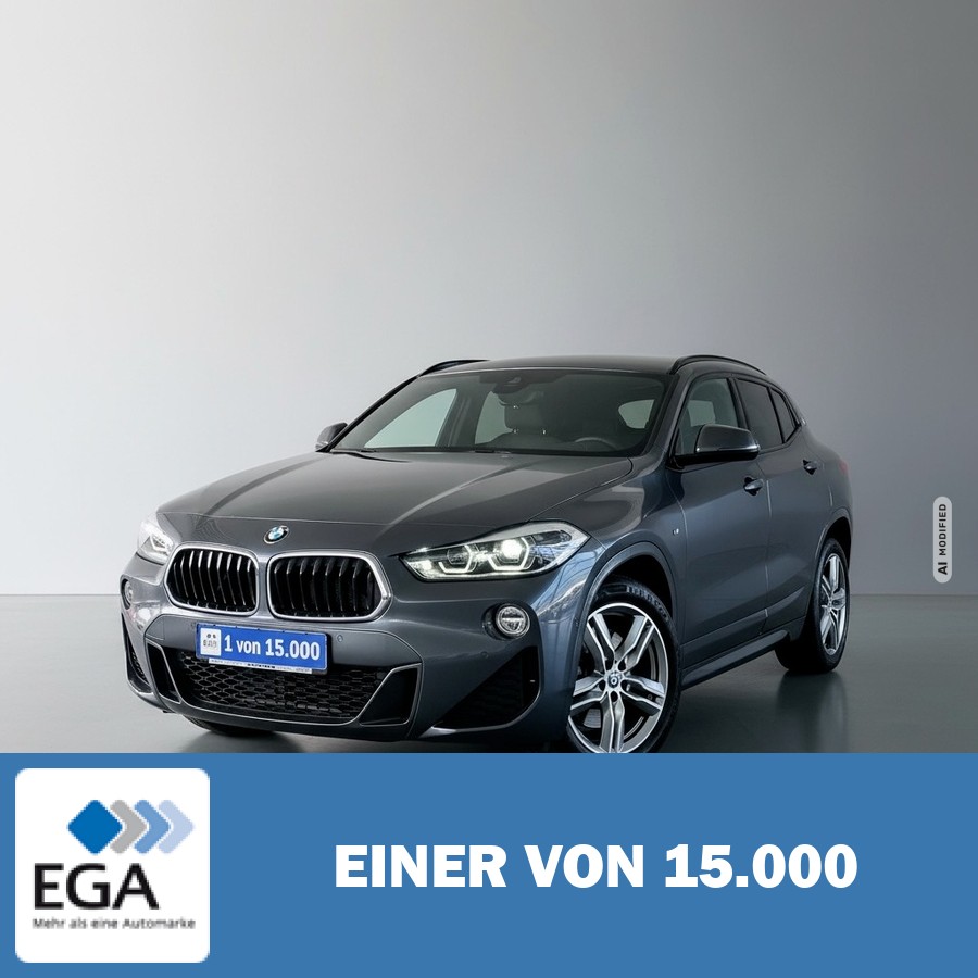 BMW X2 sDrive20i M Sport - Business.P/ AHK/ PDC