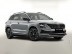 Bild Skoda Karoq DSG Sportl Matrix Nav 360 Canton ACC Kessy