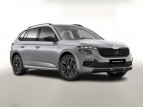 Bild Skoda Kamiq DSG MonteC Pano Matrix ACC SideA Kam Kessy