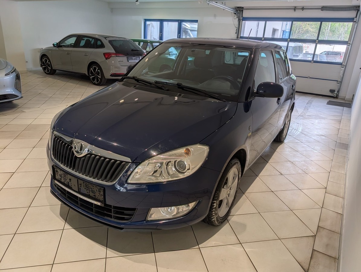 Skoda Fabia 1.6TDI SHZ PDC Klimaautomatik AHK