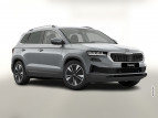 Bild Skoda Karoq DSG Selec AHK ACC Kam SideA SHZv/h Kessy