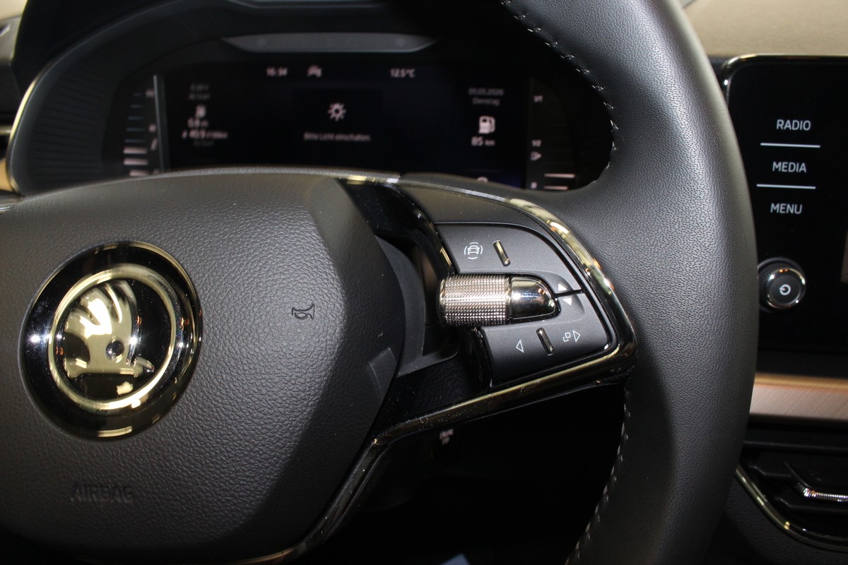 Skoda Kamiq Style OPF AHK LED Kamera Smartlink Tempomat