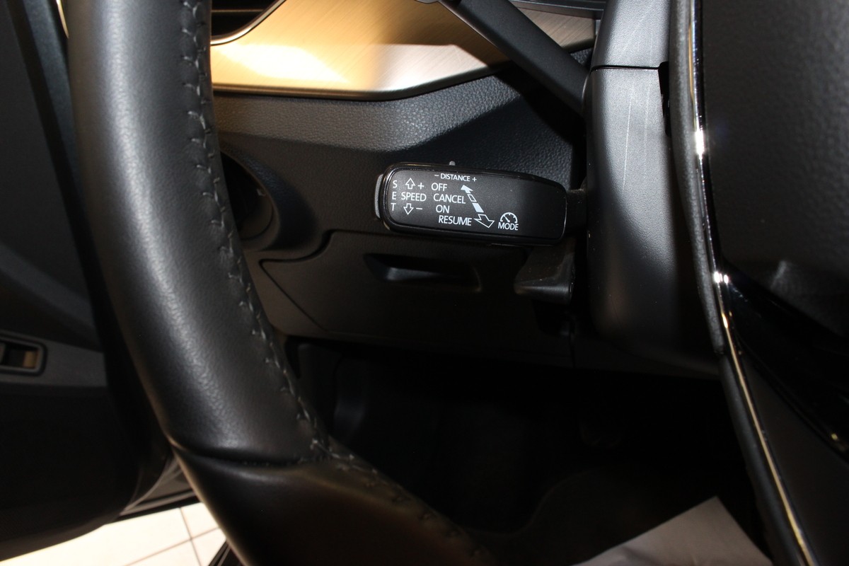Skoda Kamiq Style OPF AHK LED Kamera Smartlink Tempomat