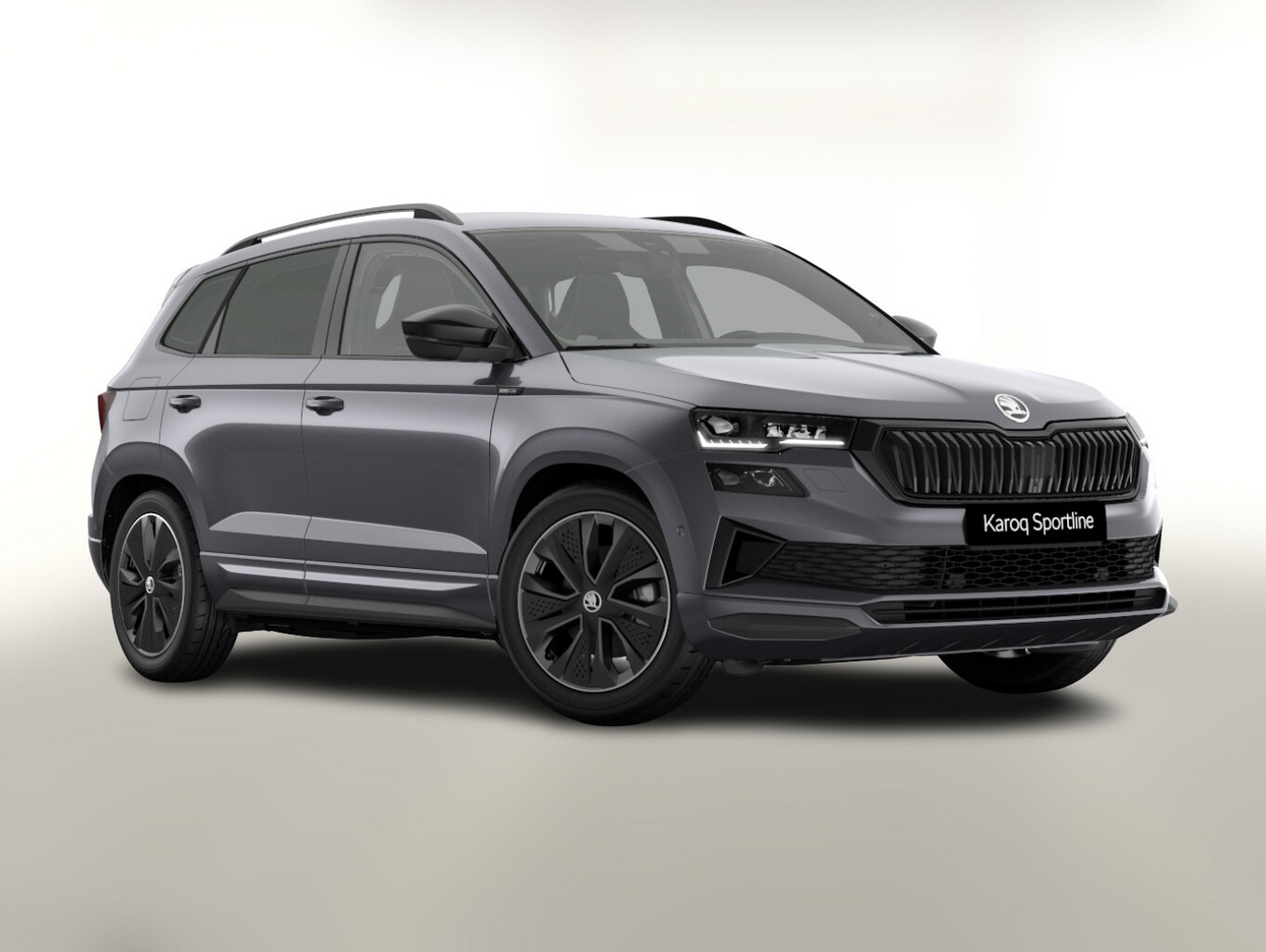 Skoda Karoq DSG 4x4 Sportl Matrix Nav 360° Canton ACC