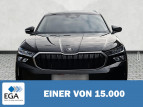 Bild Skoda Kodiaq 2.0 TDI DSG Selection 7Si AHK Navi beh.LR