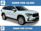 Bild Skoda Kodiaq Selection 4x4+DSG+ACC+eHK+SHZ+KAMERA+17