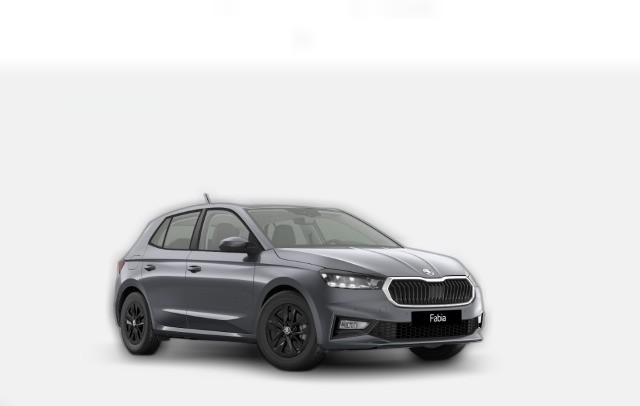 MF Selection 1.0TSI Licht&Sicht Winter+ SideAssist Parken