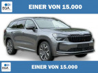 Bild Skoda Kodiaq Sportline MATRIX+CANTON+13