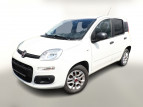 Bild Fiat Panda 1.2 8V 70 More Klimaanlage PDC UCon LM14Z