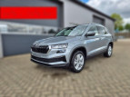 Bild Skoda Karoq 