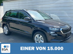 Bild Skoda Karoq 