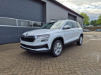 Bild Skoda Karoq 